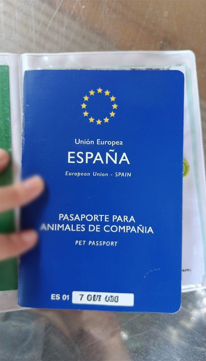 Viajes con Mascota