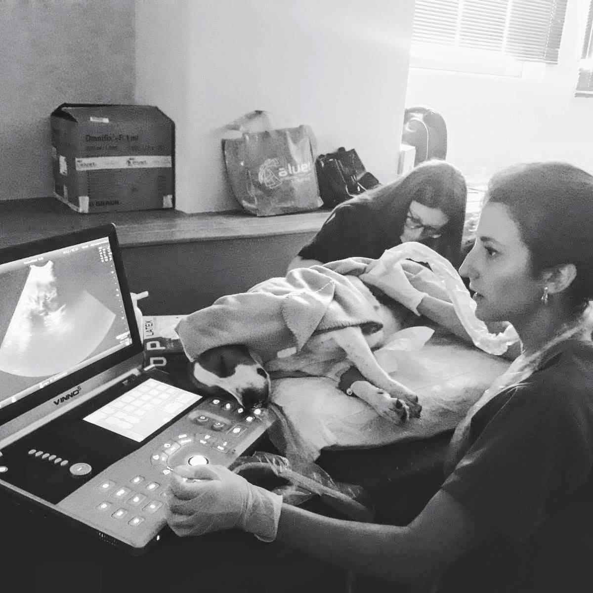 Ecografía y Radiología