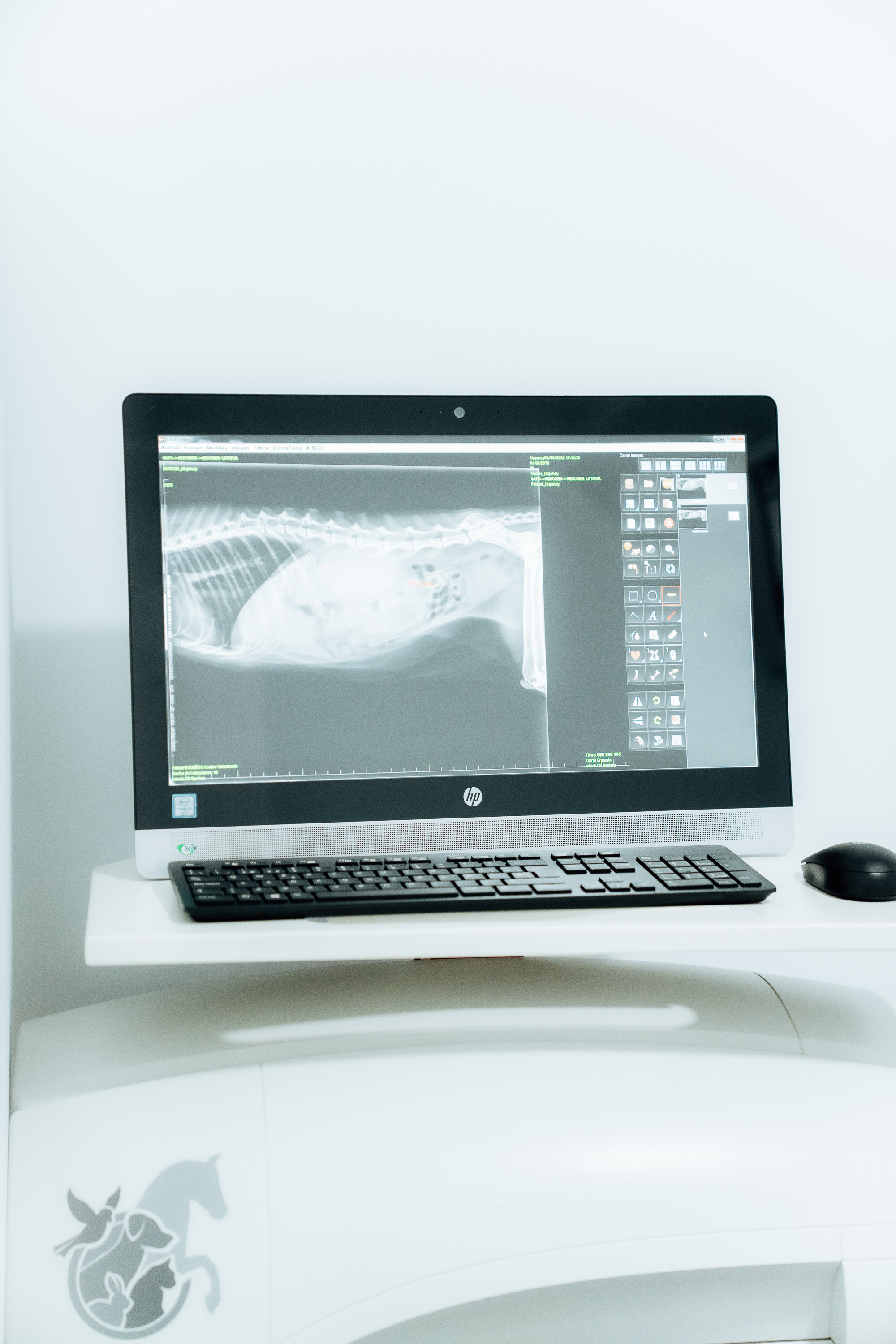 Ecografía y Radiología