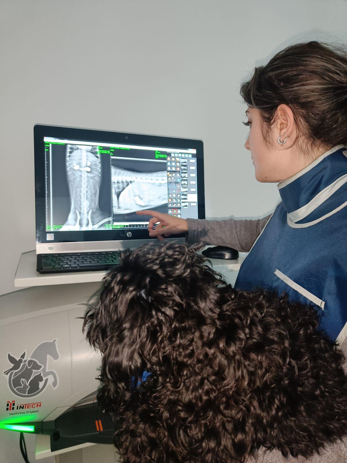 Ecografía y Radiología